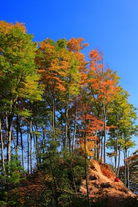 里尔逆风翻盘贝桑松，赢得场上胜利