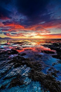 土耳其中锋威震欧洲，破门如麻——一位传奇射手的崛起