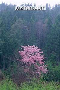 热火对决！巨星球员在场上展现实力