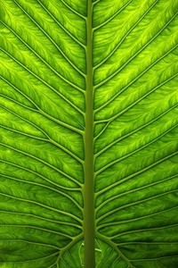 汉堡球队经历波折，努力寻找突破口